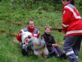 bild-1