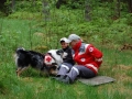 bild-2